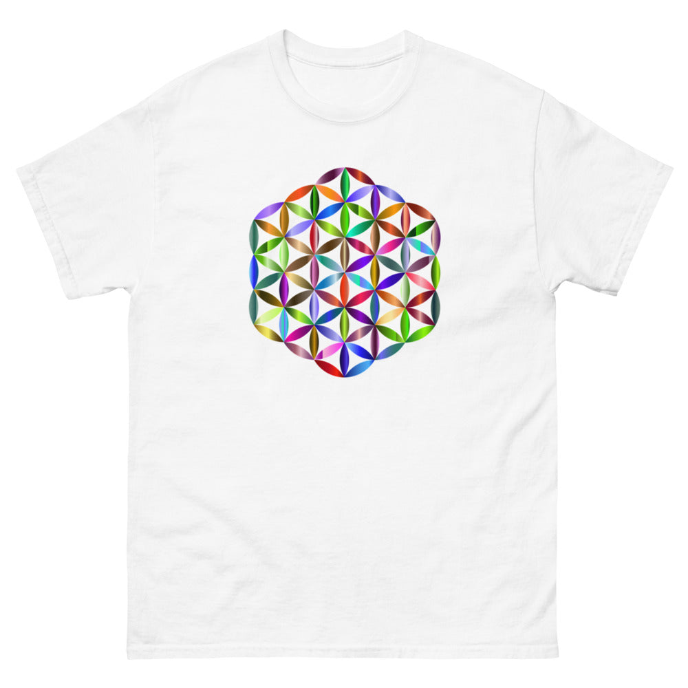 Colour Cube 100% cotton men's heavyweight tee