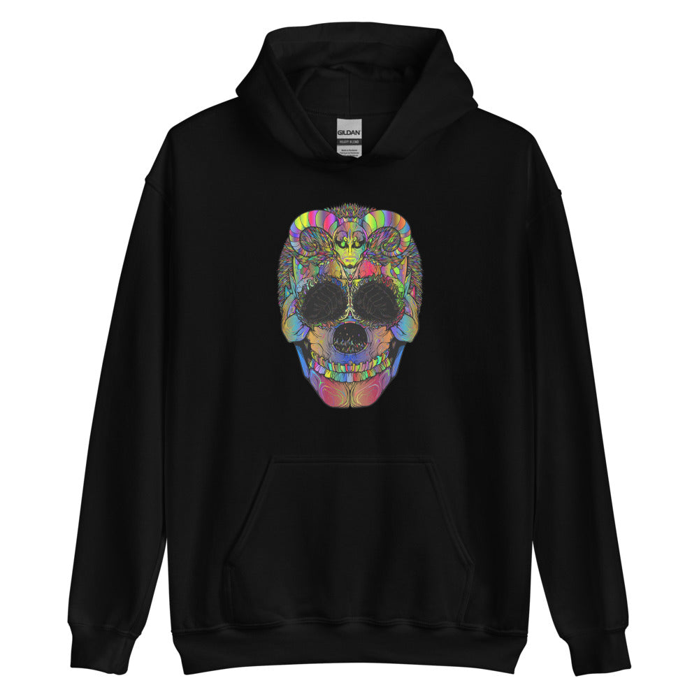 Multi Coloured Skull Unisex Hoodie