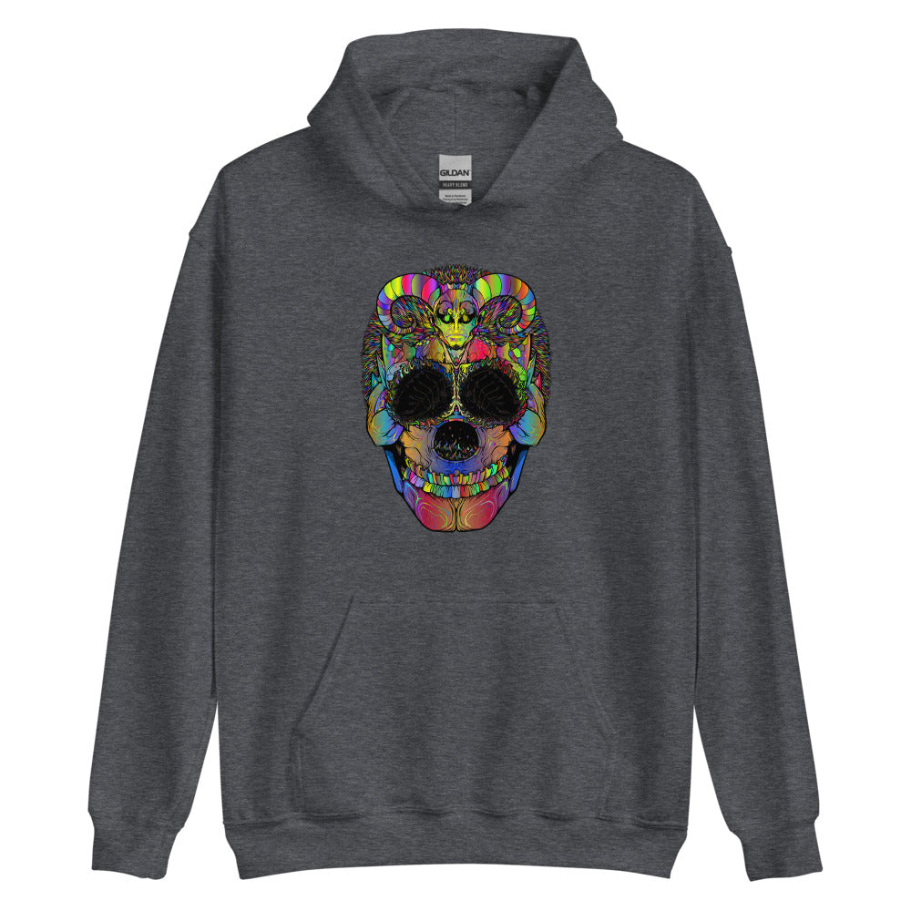 Multi Coloured Skull Unisex Hoodie