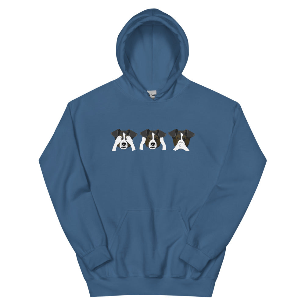 See no evil, hear no evil, speak no evil Unisex Hoodie