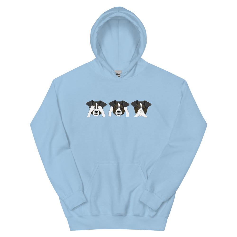 See no evil, hear no evil, speak no evil Unisex Hoodie