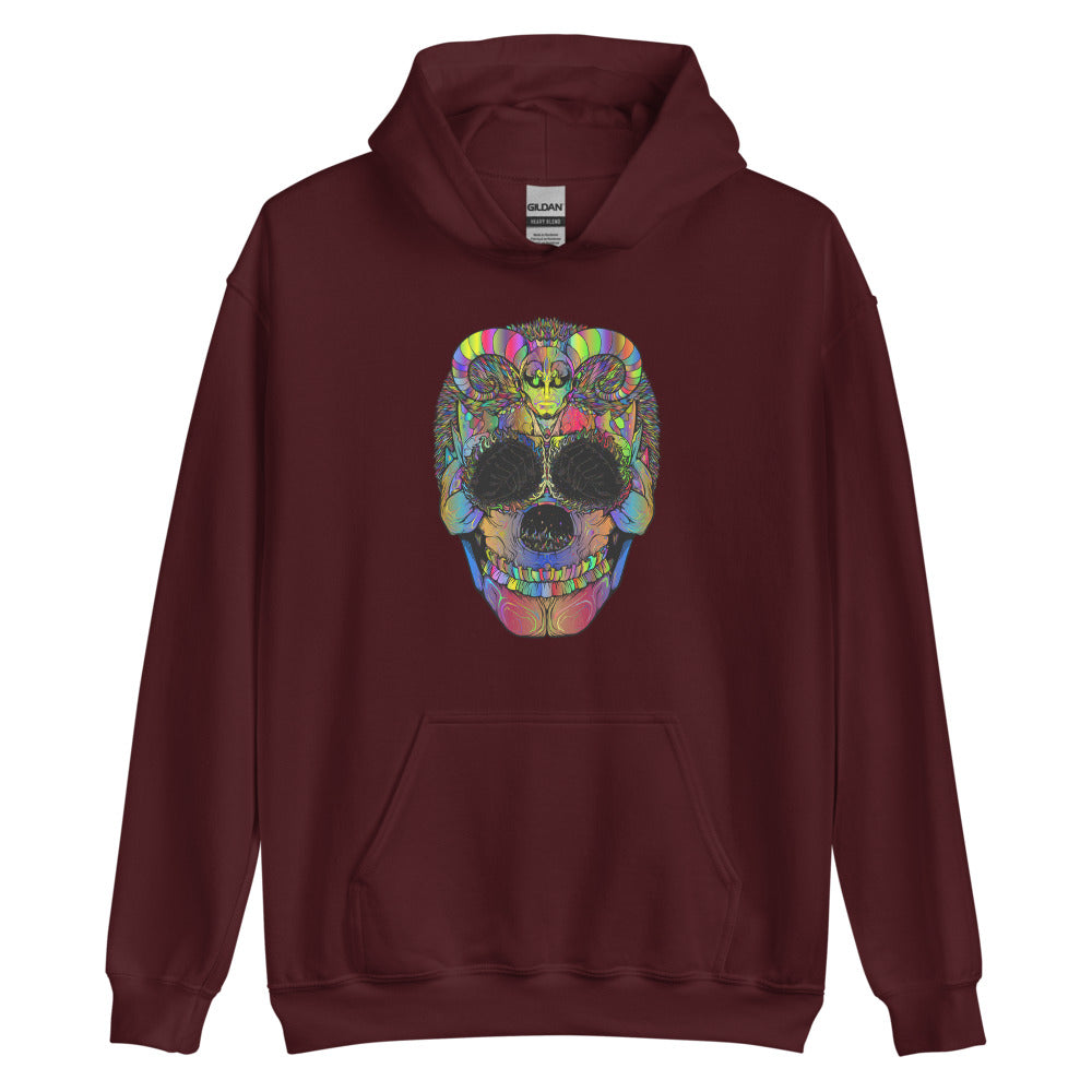 Multi Coloured Skull Unisex Hoodie