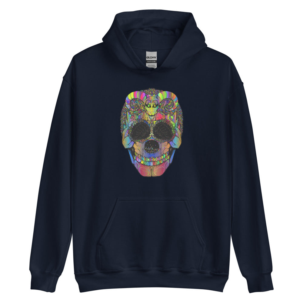 Multi Coloured Skull Unisex Hoodie