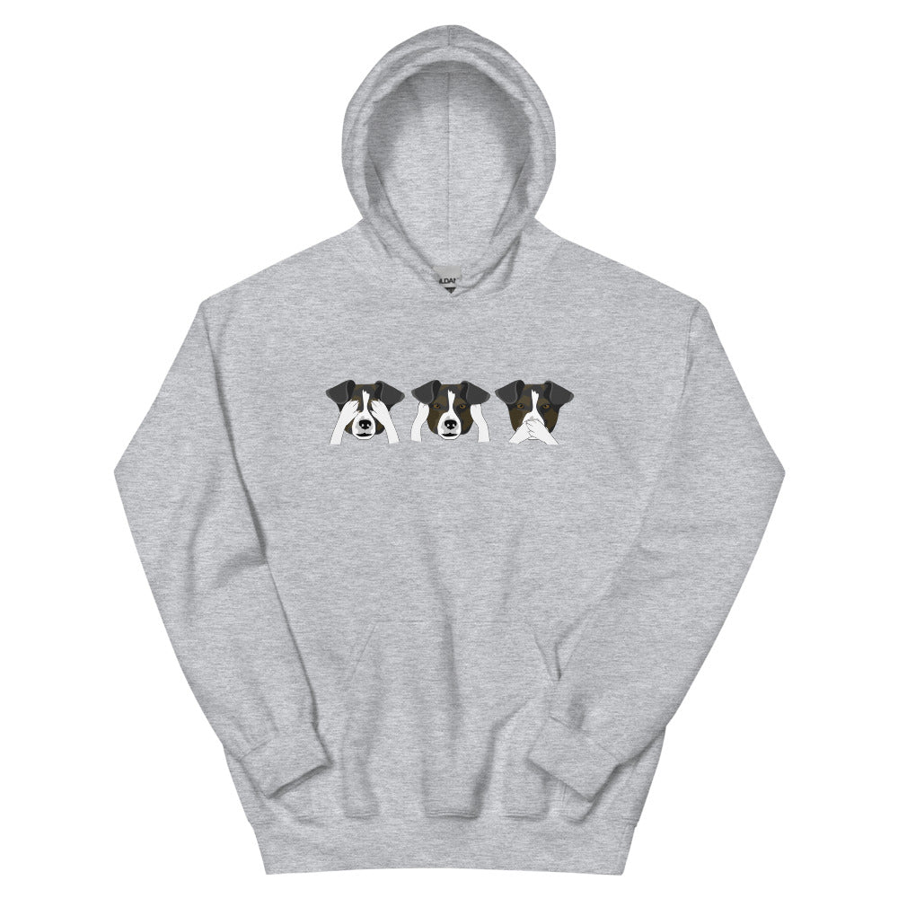 See no evil, hear no evil, speak no evil Unisex Hoodie