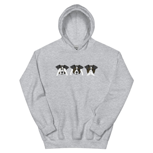 See no evil, hear no evil, speak no evil Unisex Hoodie