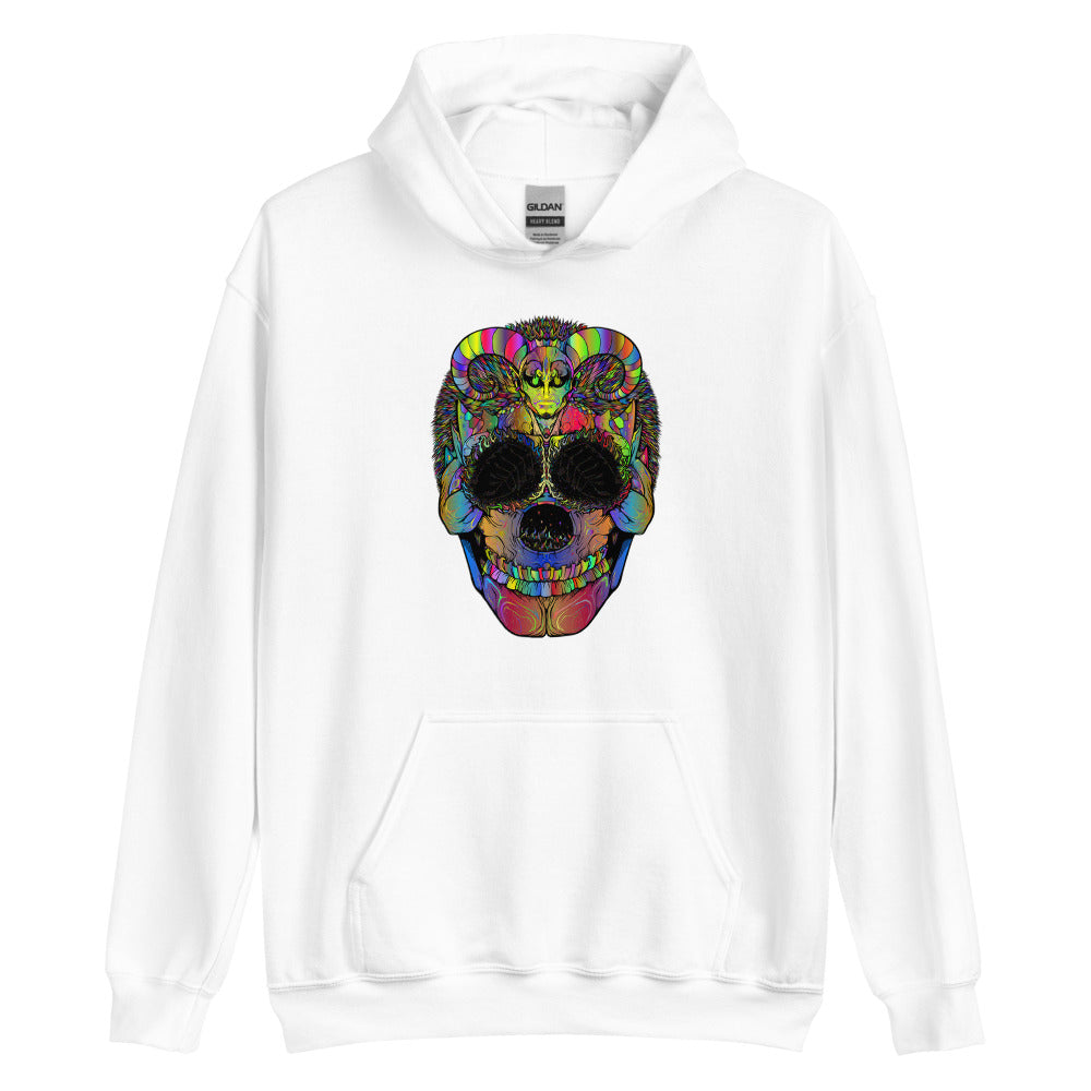 Multi Coloured Skull Unisex Hoodie